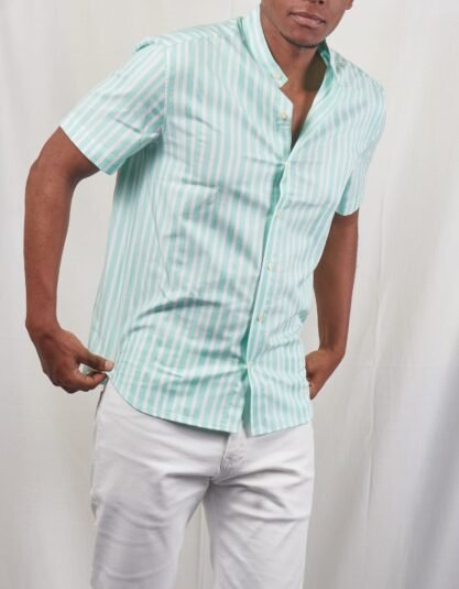 Green and White Striped Short sleeved Shirt